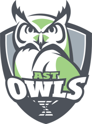 DSST18001-Owls_WhiteFill-Mar-07-2025-03-17-53-1225-PM DSST18001-Owls_WhiteFill-Mar-07-2025-03-17-53-1225-PM